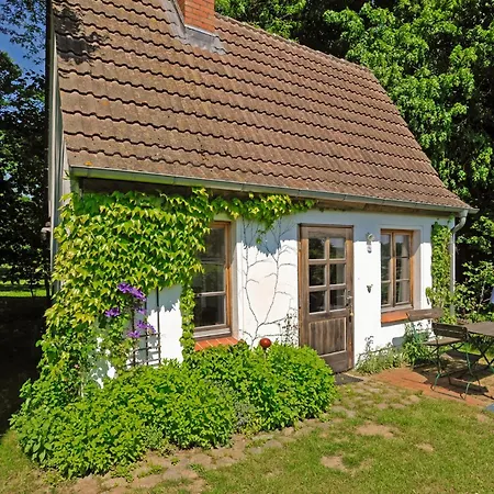 公寓 Gutshaus Am Rothen